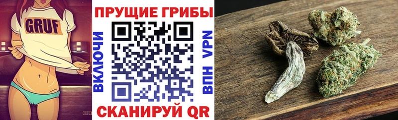 Псилоцибиновые грибы Magic Shrooms Яровое